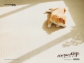 Nintendogs : Wallpapers et Vidéos