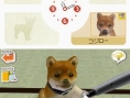 Nintendogs : Plus d'images