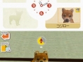 Nintendogs : Plus d'images