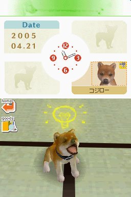 Nintendogs : Plus d'images