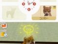 Nintendogs : Plus d'images