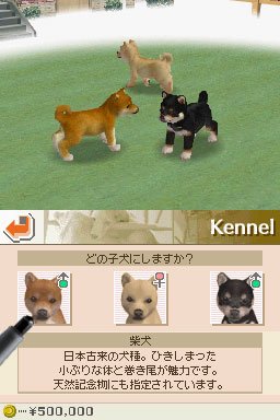 Nintendogs : Plus d'images