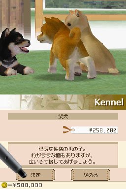 Nintendogs : Plus d'images