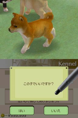 Nintendogs : Plus d'images