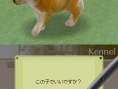 Nintendogs : Plus d'images