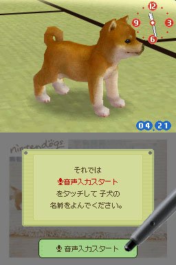 Nintendogs : Plus d'images