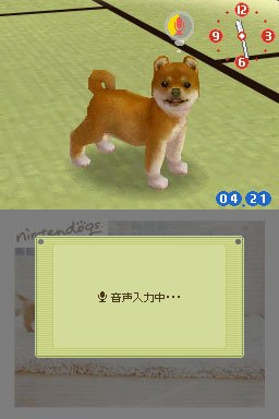 Nintendogs : Plus d'images