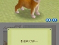 Nintendogs : Plus d'images