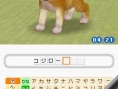 Nintendogs : Plus d'images