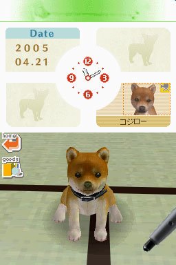Nintendogs : Plus d'images