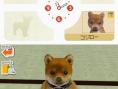 Nintendogs : Plus d'images