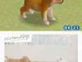 Nintendogs