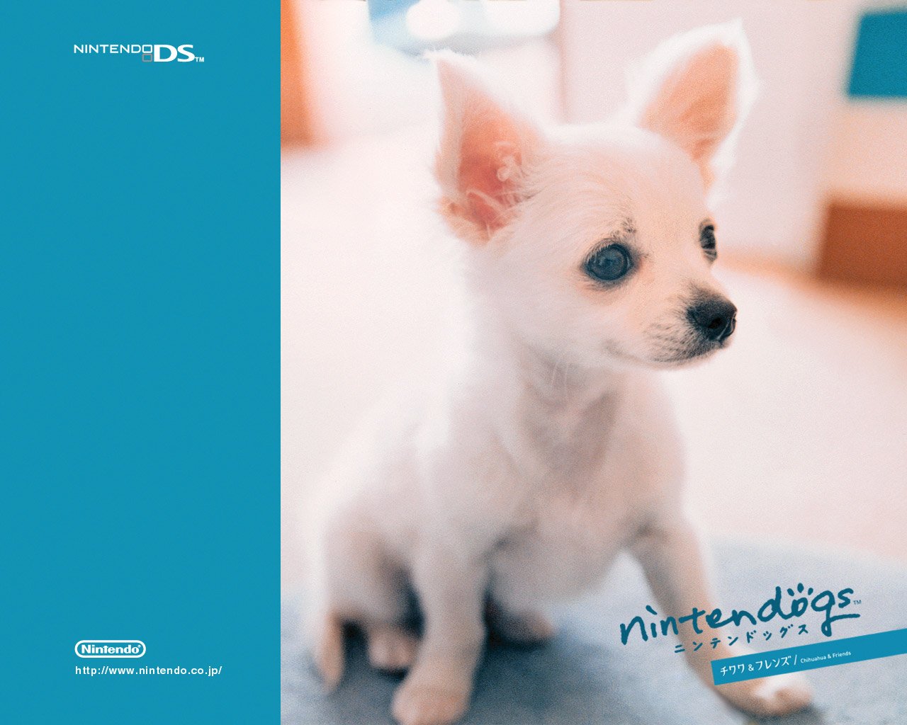 Nintendogs : Plus d'images