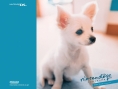 Nintendogs : Plus d'images