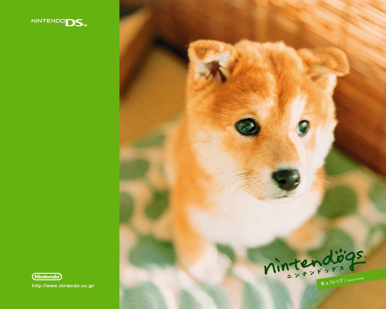 Nintendogs : Plus d'images