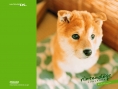 Nintendogs : Plus d'images