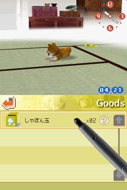 Nintendogs : Plus d'images