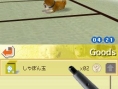 Nintendogs : Plus d'images