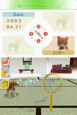 Nintendogs : Plus d'images