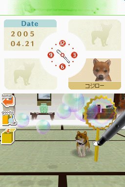 Nintendogs : Plus d'images
