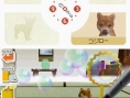 Nintendogs