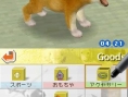 Nintendogs : Plus d'images