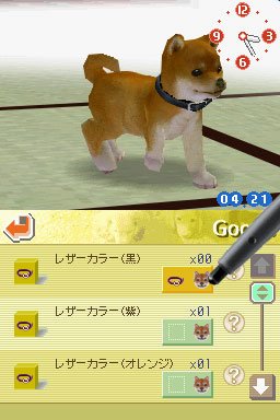 Nintendogs : Plus d'images