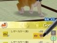 Nintendogs : Plus d'images