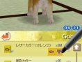 Nintendogs : Plus d'images