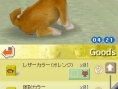 Nintendogs : Plus d'images