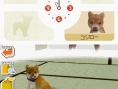 Nintendogs : Plus d'images