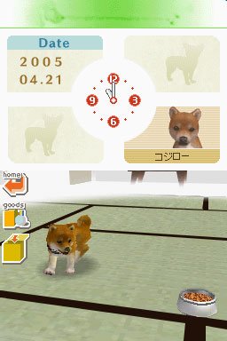 Nintendogs : Plus d'images