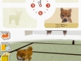 Nintendogs : Plus d'images