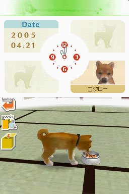 Nintendogs : Plus d'images