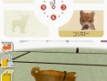 Nintendogs : Plus d'images