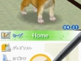Nintendogs : Plus d'images