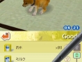 Nintendogs