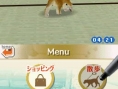 Nintendogs