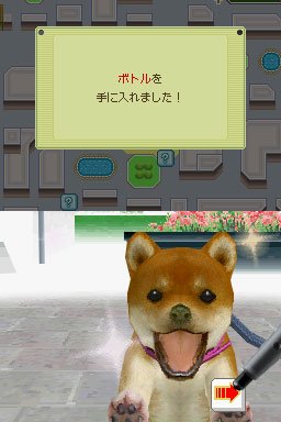 Nintendogs : plus d'images