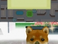 Nintendogs : plus d'images