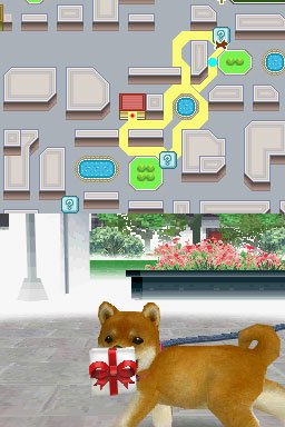 Nintendogs : plus d'images