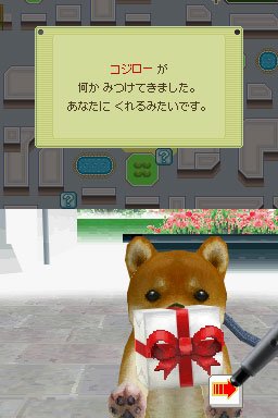 Nintendogs : plus d'images