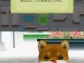 Nintendogs : plus d'images