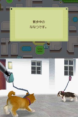 Nintendogs : plus d'images