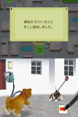 Nintendogs : plus d'images