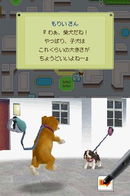 Nintendogs : plus d'images