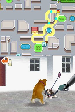 Nintendogs : plus d'images