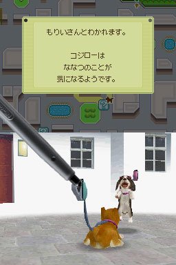 Nintendogs : plus d'images