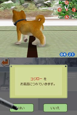 Nintendogs : plus d'images
