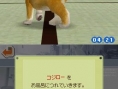 Nintendogs : plus d'images